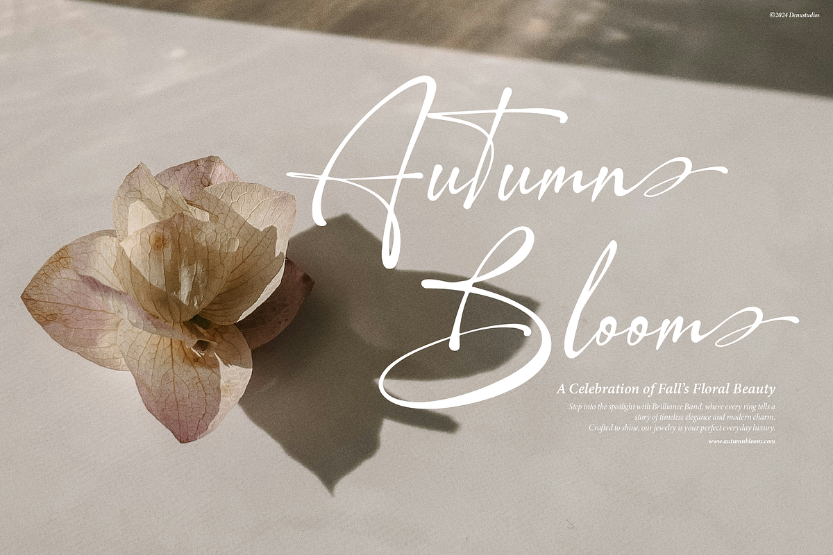 The Baethmy | Handwritten Script, a Script Font by Denustudios (Photo 4 of 13)