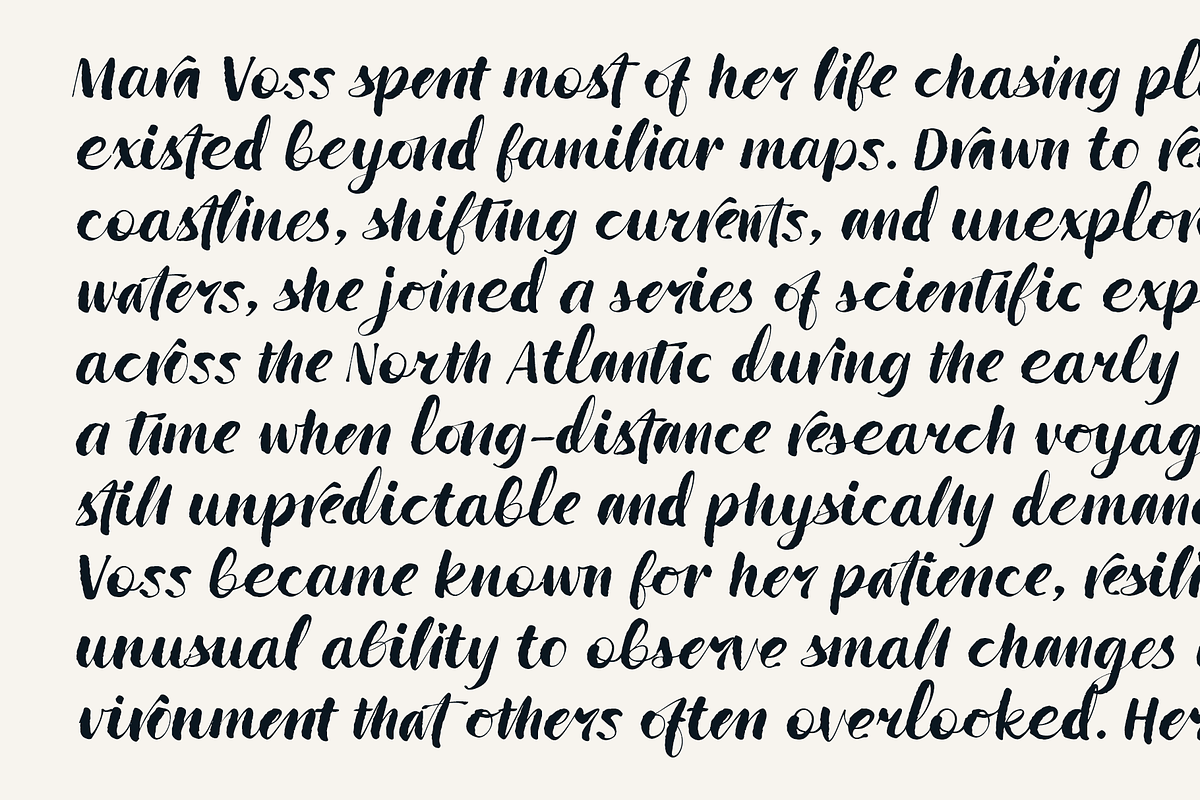Wildwritten - Handwritten Script, a Script Font by Only Fonts (Photo 12 of 15)