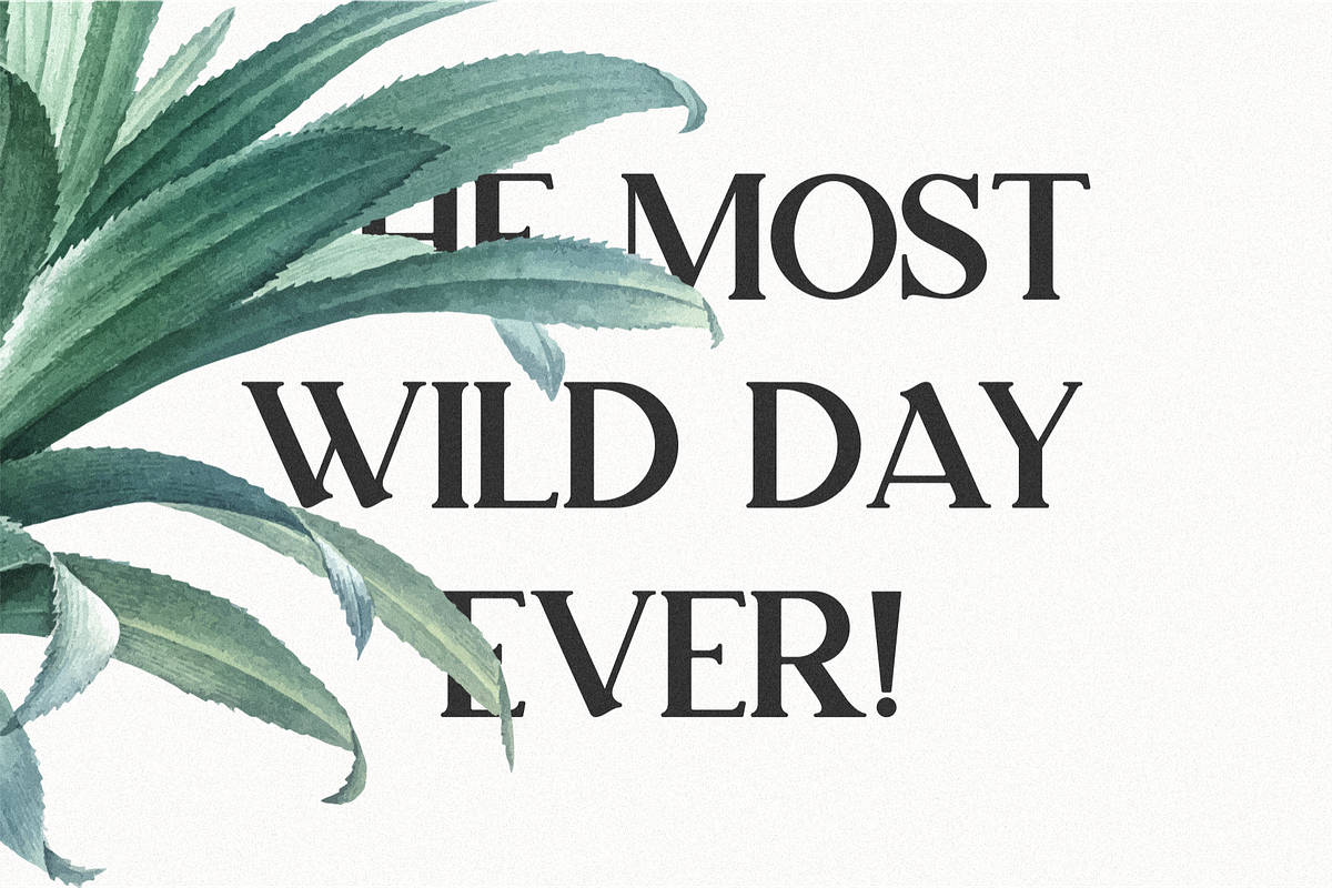 Lumiera Serif font preview 2