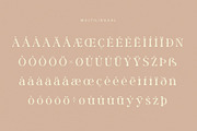 Rolaxs, a Serif Font by ToniStudio (Thumbnail 8 of 10)