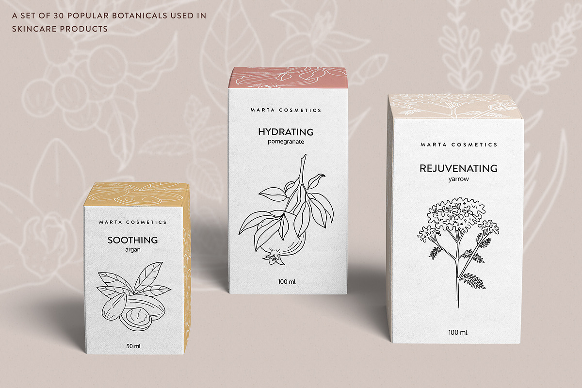 Skin Care Botanicals | 30 designs, a Healthcare Illustration by amber&ink (Photo 2 of 9)