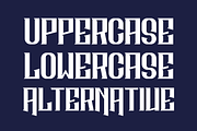 Ngoqueen Hedoon, a Serif Font by QR Design Studio (Thumbnail 6 of 9)