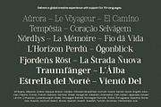 TT Vermolin — Modern Classy Serif, a Serif Font by truetype (Thumbnail 14 of 15)