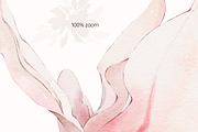 Magnolia watercolor floral set, a Decorative Illustration by Yuliia Lashevska (Thumbnail 10 of 13)