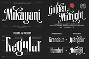 Font Bundle - Complete Collection, a Serif Font by A.Budianto (Thumbnail 4 of 39)