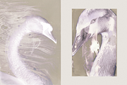 Ethereal Nature Archive Backgrounds, a Background Graphic by Natali Batu (Thumbnail 6 of 9)