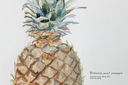 Pineapple watercolor, a Food Illustration by Ernesto Solla (Thumbnail 2 of 2)