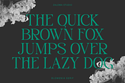 Blomenia, a Serif Font by Zaloma Studio (Thumbnail 14 of 18)