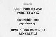 Fiontina A Display Typeface Font, a Serif Font by Dylla_studio (Thumbnail 8 of 9)