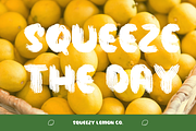 Lemon Mojito – Natural Handbrush, a Handwritten Font by Fikryal Studio (Thumbnail 5 of 9)