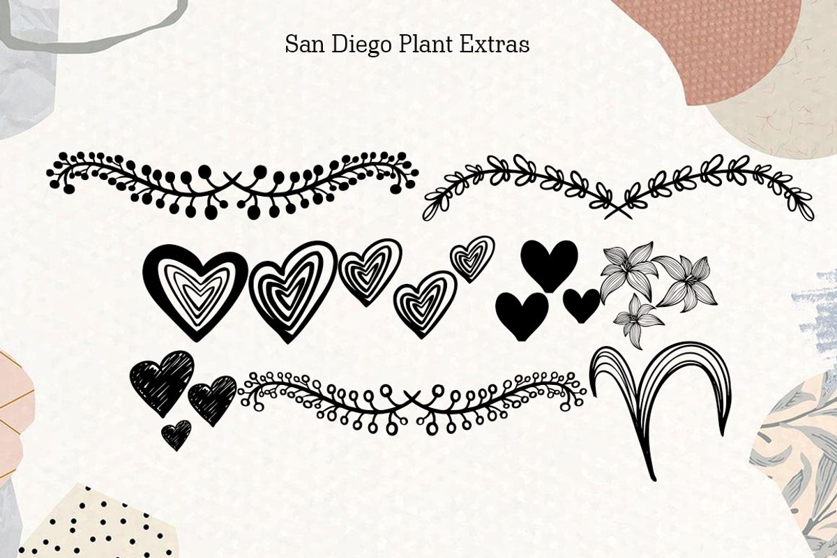 San Diego, a Script Font by Zaenal Studio (Photo 7 of 13)