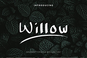 Willow Handwritten Font, a Script Font by PixelHive Pro (Thumbnail 1 of 16)