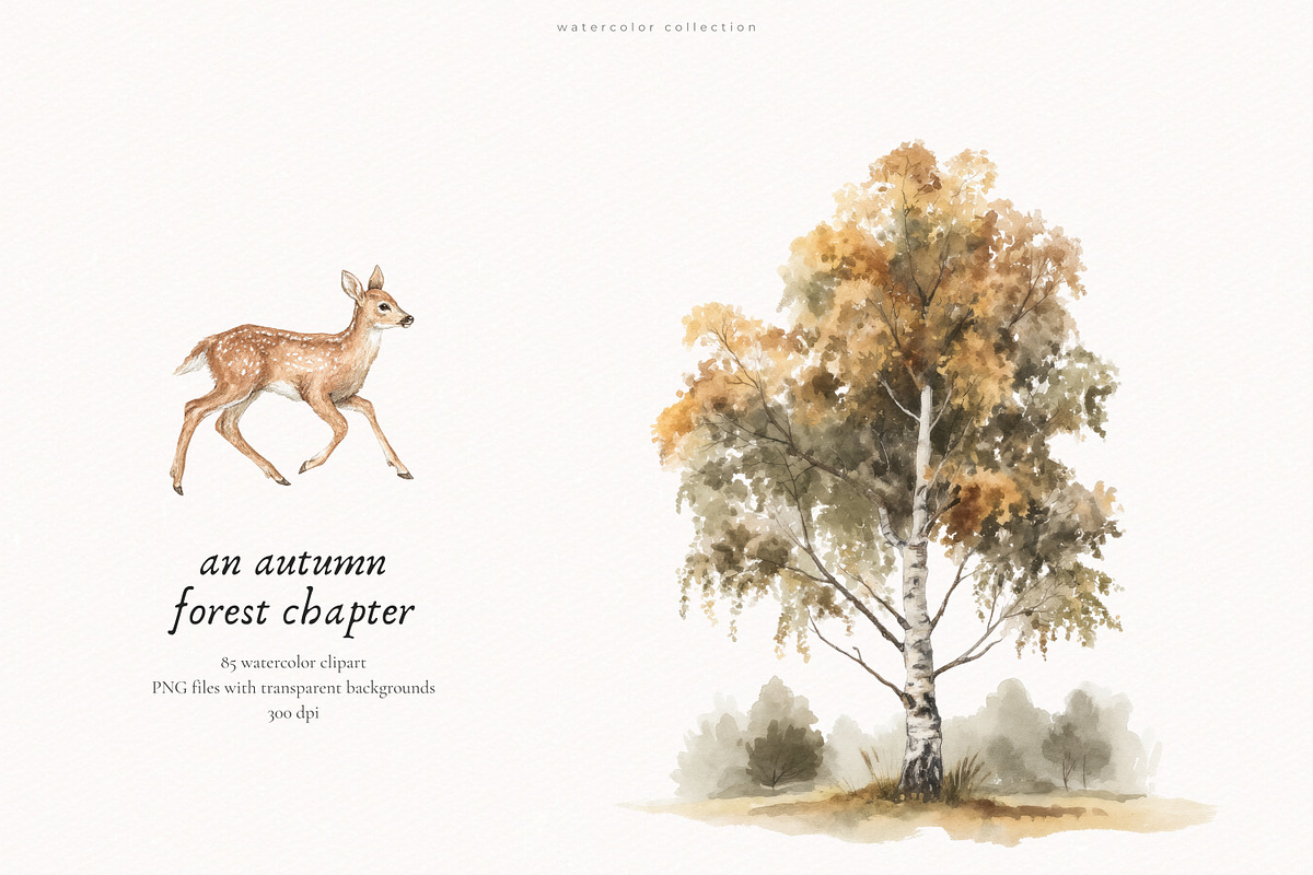 An Autumn Forest Chapter Collection, an Animal Illustration by PeDe Designs (Photo 6 of 29)