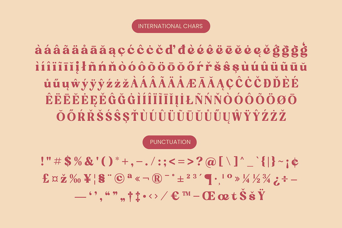 Regina Bonita Modern Retro Serif, a Serif Font by timelesstype.co (Photo 18 of 20)