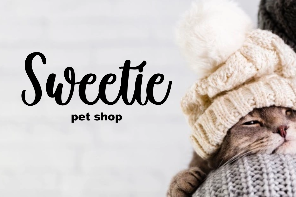 Winter Creative – Script Font, a Script Font by Fikryal Studio (Photo 6 of 10)