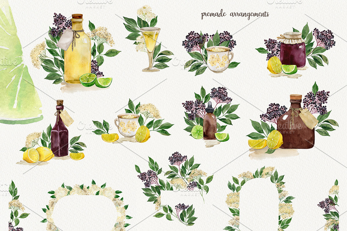 Elderberries&Elderflowers Collection, a Food Illustration by TanyaOak (Photo 6 of 9)