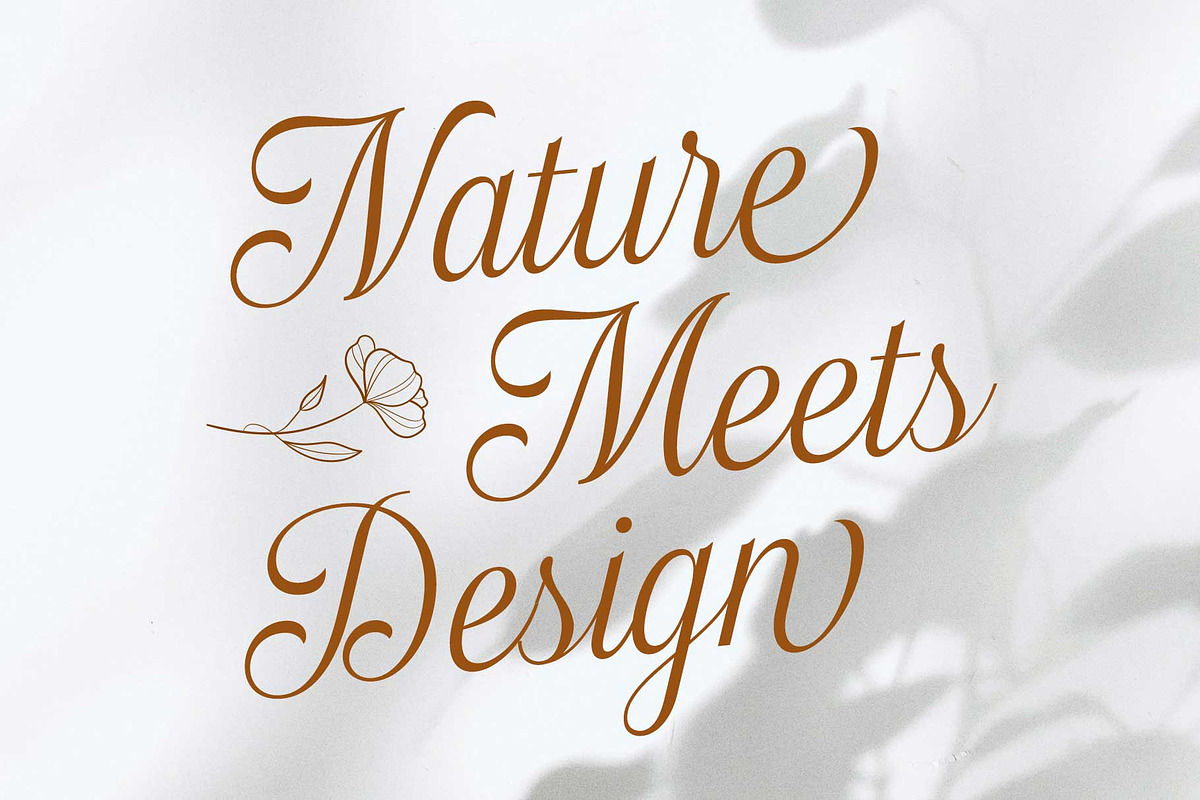 Haydenta - Calligraphic Script, a Script Font by Novitype (Photo 2 of 12)