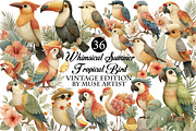Whimsical Summer Tropical Bird Clipa, an Illustration by DreamArtGraphic (Thumbnail 1 of 8)