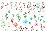Watercolor nature set, a Decorative Illustration by ARSCOR (Thumbnail 2 of 4)