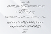 Carlotte Walker Script Business Font, a Handwritten Font by Pixesia Studio (Thumbnail 10 of 10)