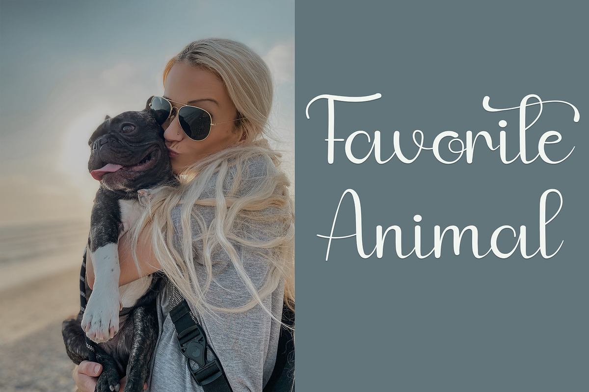 01 Frenchie, a Handwritten Font by FreshTypeINK (Photo 4 of 9)