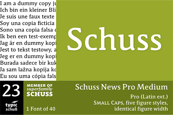 SchussNewsProMedium No.23 (1 Font) preview 6