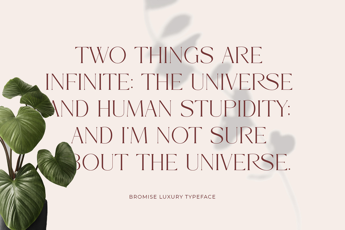 Bromise - Luxury Serif Typeface, a Serif Font by Muflieart (Photo 2 of 10)