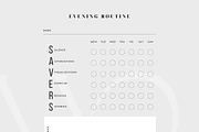 PLR/MRR Law of Attraction Planner, a Marketing Template by Brand Your Biz Co. (Thumbnail 6 of 11)