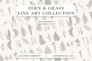 Fern & Grass Line Art Collection, a Decorative Illustration by AW Studios (Thumbnail 1 of 11)