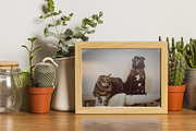 Vintage Effects & Overlays Package, a Layer Style Add-On by PhotoSpirit (Thumbnail 46 of 63)