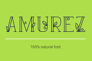 Amurez - delicate natural font, a Serif Font by wowomnom (Thumbnail 1 of 3)