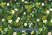 Blossom Wild Strawberry & Clover., an Illustration by Olga Bonitas (Thumbnail 5 of 9)