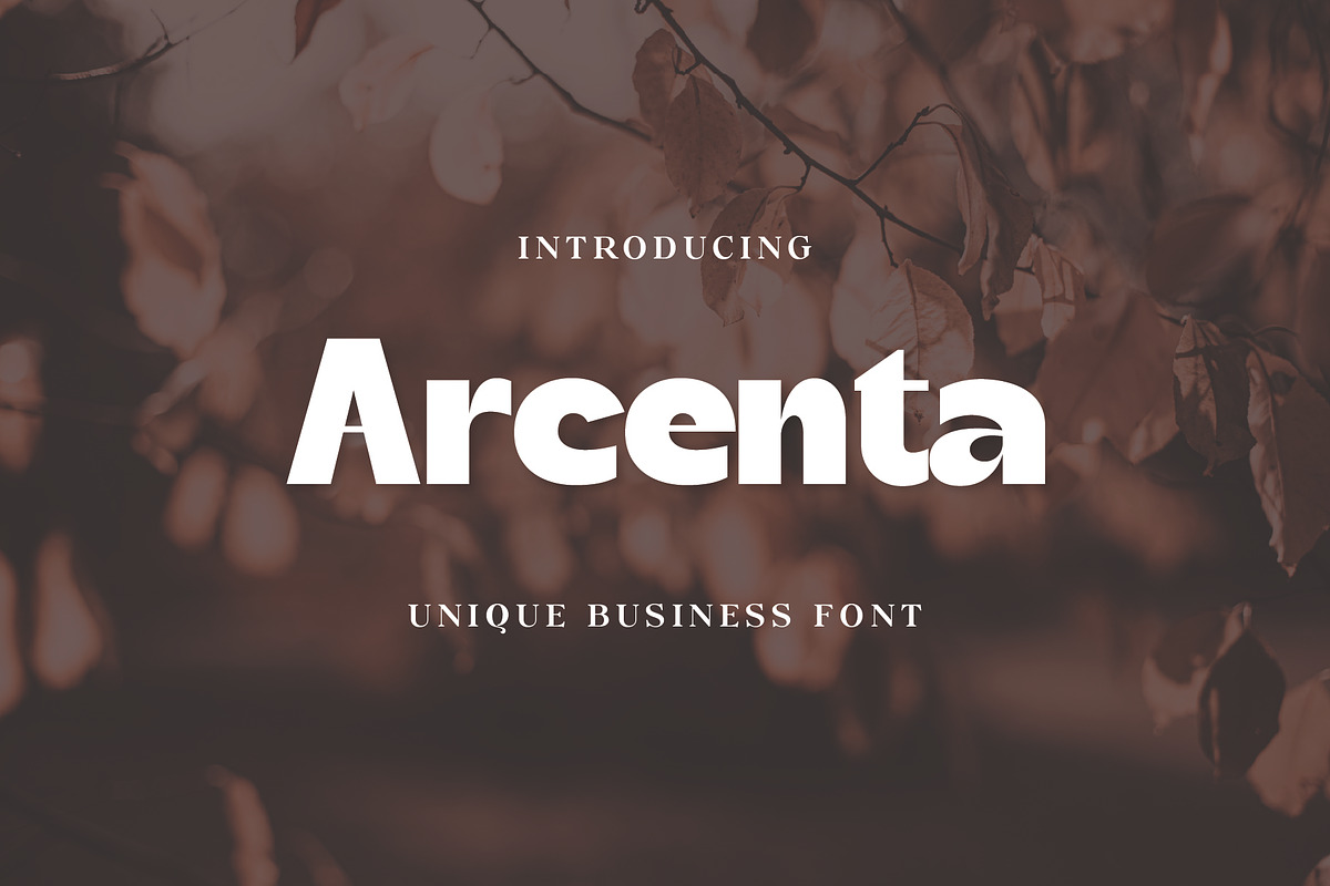 Arcenta | Unique Elegant Sans Serif, a Sans Serif Font by Artdez (Photo 1 of 8)