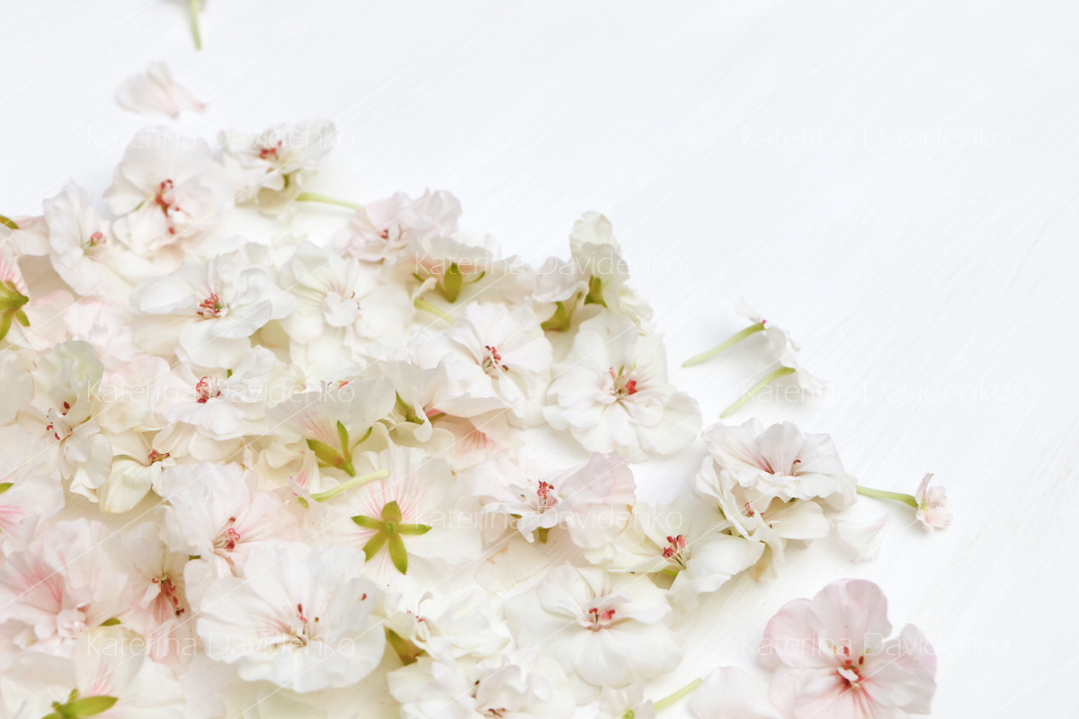 Styled photos bundle, a Background Photo by Bubert Art (Photo 5 of 12)