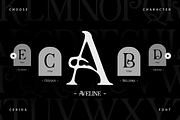 Cerina - Fashion Handdrawn Font, a Serif Font by Pandeka Studio (Thumbnail 6 of 9)