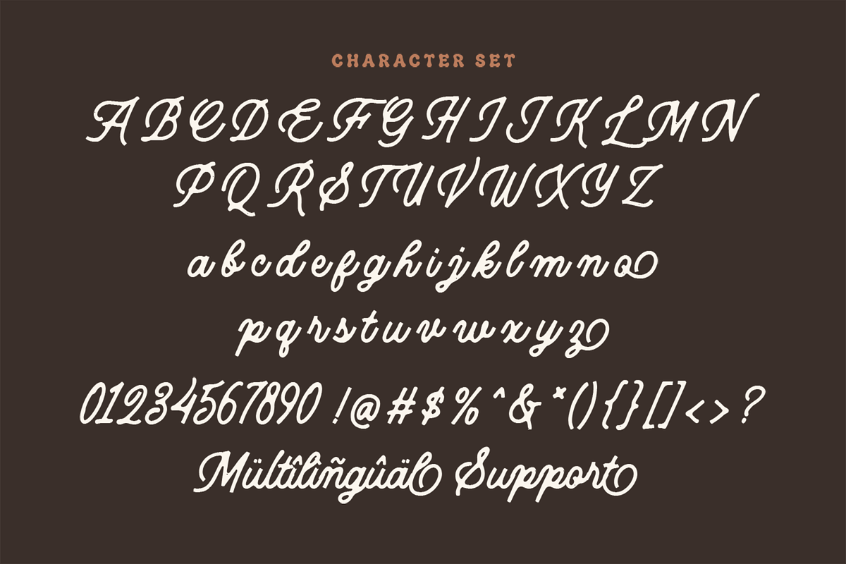 Callerina - Vintage Script Typeface, a Script Font by overlaytemplates (Photo 6 of 7)