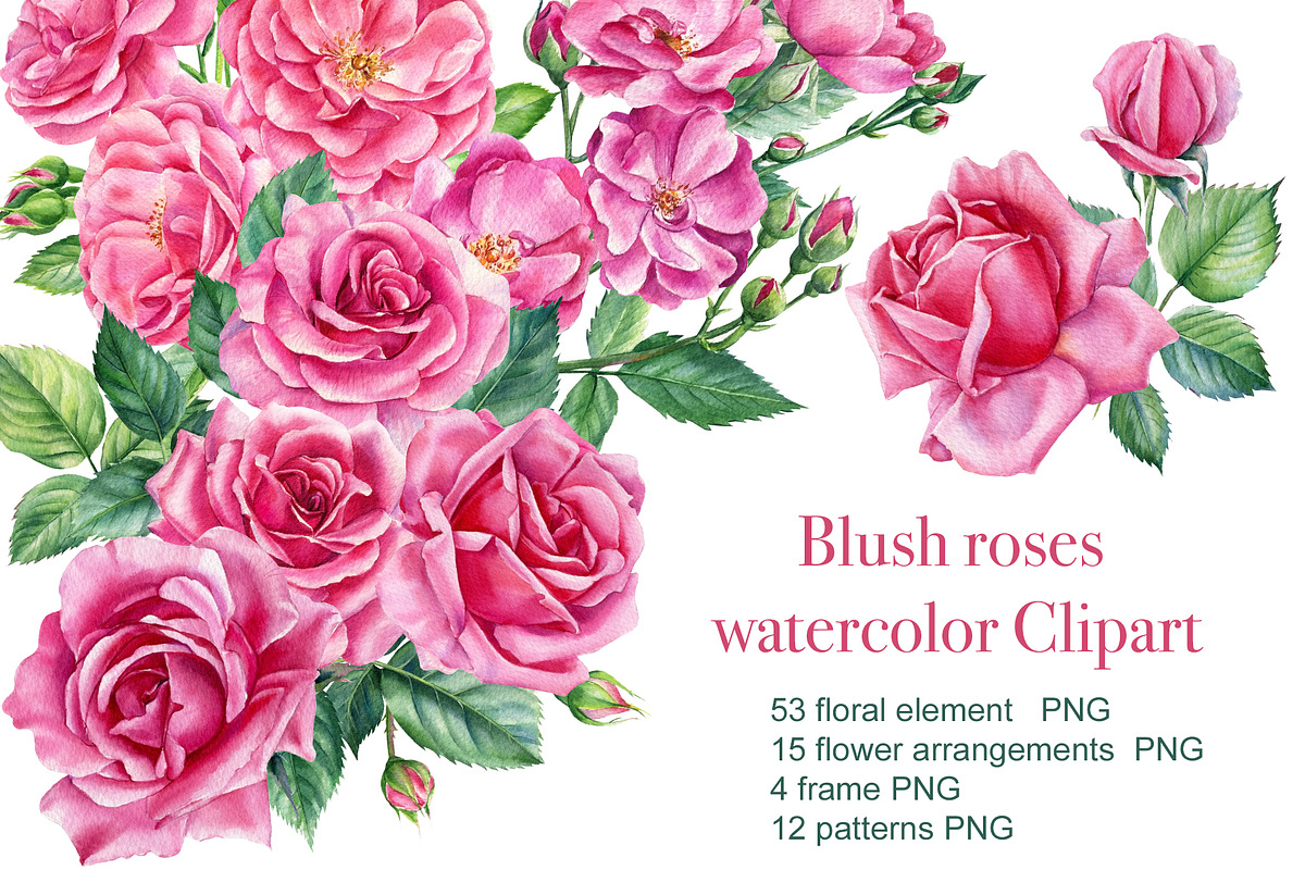 Bundle floral illustration, a Decorative Illustration by Hanna Hryharenka (Photo 3 of 10)