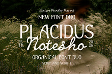 Placidus Notesho Retro Whimsical