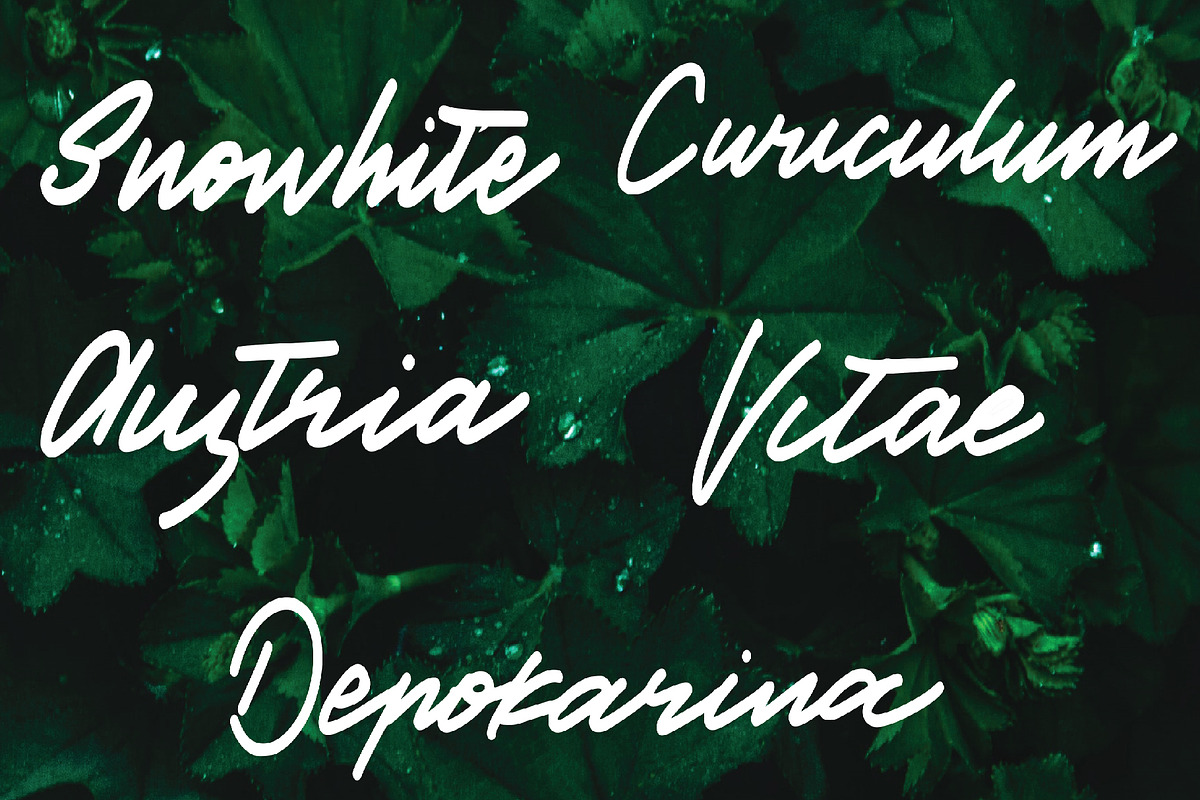 cinestory font, a Script Font by Mariyana (Photo 2 of 6)