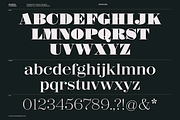 Shomina Font, a Serif Font by Cuchi, qué Tipo! Foundry (Thumbnail 14 of 21)