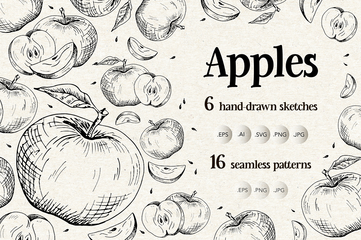 Apples. Sketches and patterns, an Illustration by Canatic (Photo 1 of 17)