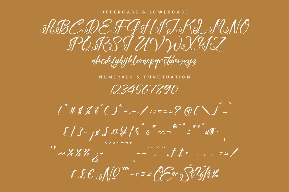 Floralis Morning, a Handwritten Font by Integritype Studio (Photo 13 of 15)
