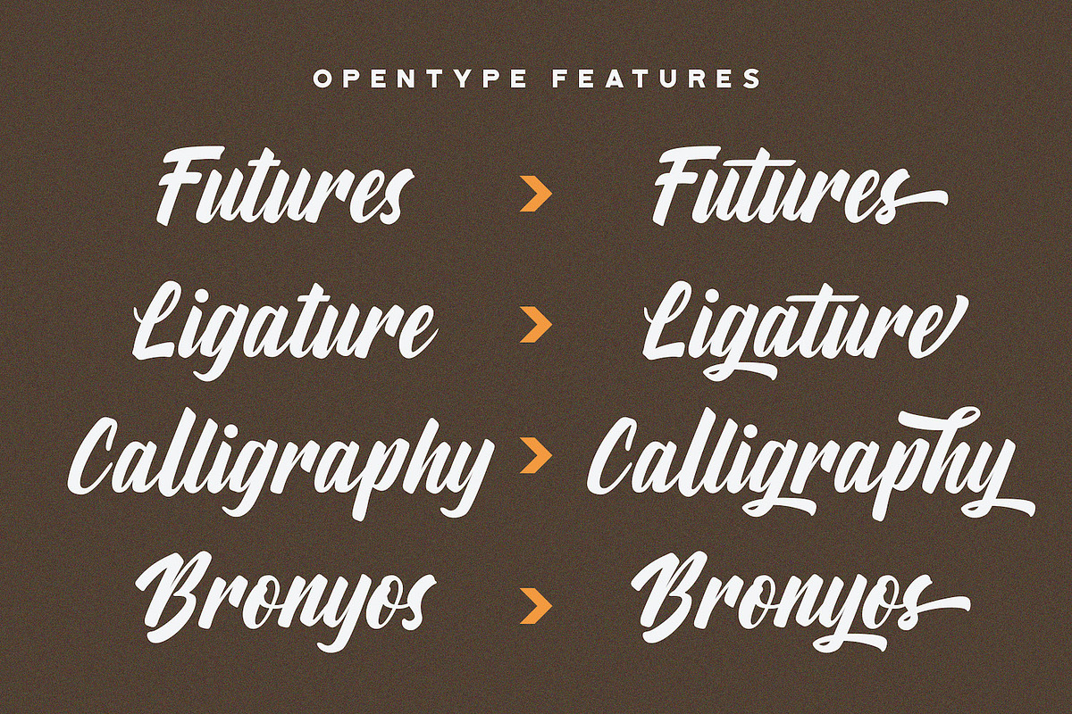 Aylafs - Bold Script Font, a Script Font by StringLabs (Photo 7 of 11)