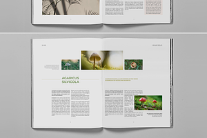 Botanical Green Nature Brochure