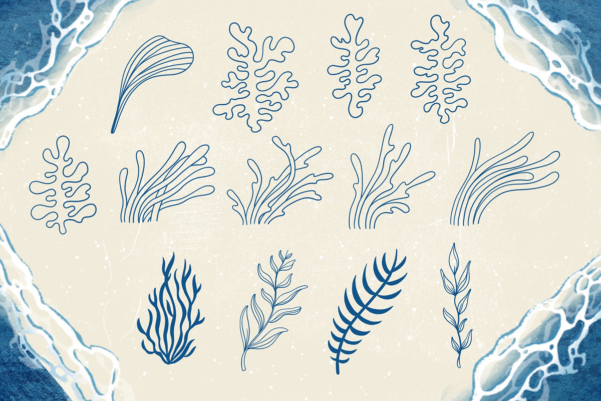 Seashells + Driftwood Procreate Set, a Brush Add-On by PrettyLittlePigs (Photo 6 of 10)