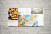 Photography Portfolio Template, a Brochure Template by ShapShapy (Thumbnail 19 of 21)