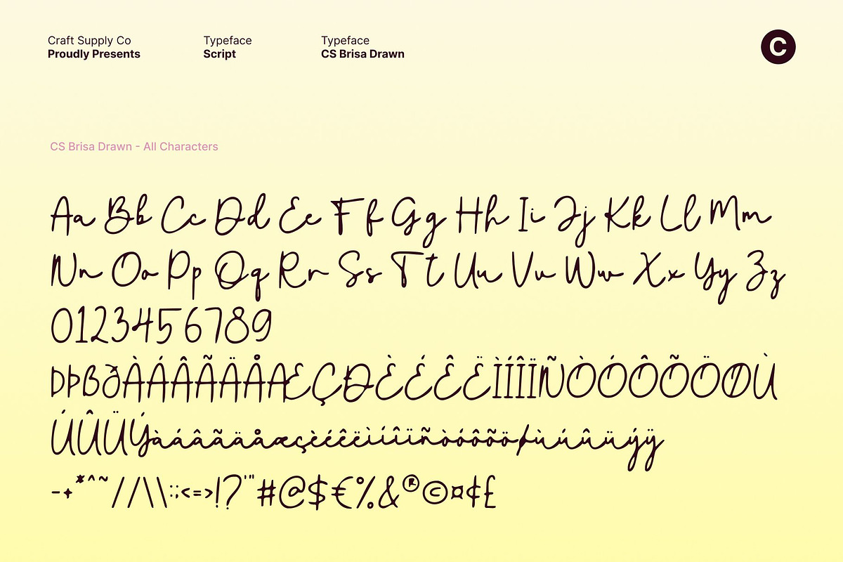 CS Brisa Drawn, a Script Font by Craft Supply Co. (Photo 8 of 8)
