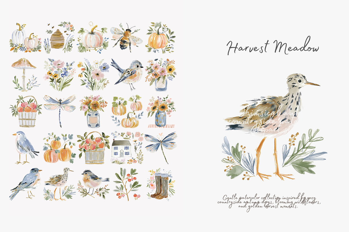 harvest meadow watercolor clipart, a Decorative Illustration by Patishop Art (Photo 5 of 10)