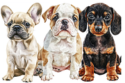 Watercolor Puppies Clipart, an Animal Illustration by PrintHaven Designs (Thumbnail 5 of 10)