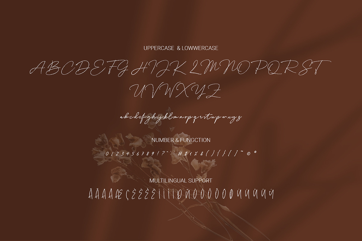 Delyra Script - Modern Signature, a Script Font by RHD Creative Studio (Photo 11 of 12)
